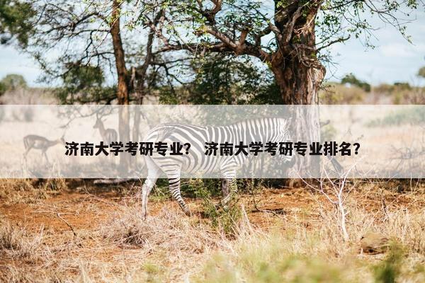 济南大学考研专业？ 济南大学考研专业排名？