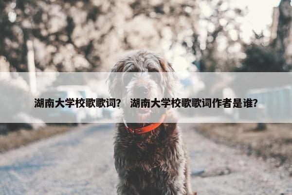 湖南大学校歌歌词？ 湖南大学校歌歌词作者是谁？
