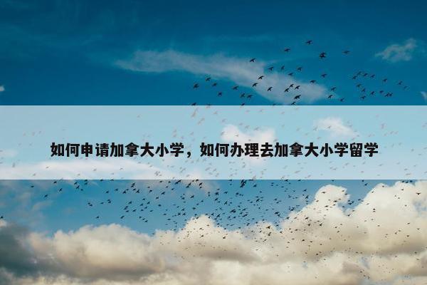如何申请加拿大小学，如何办理去加拿大小学留学