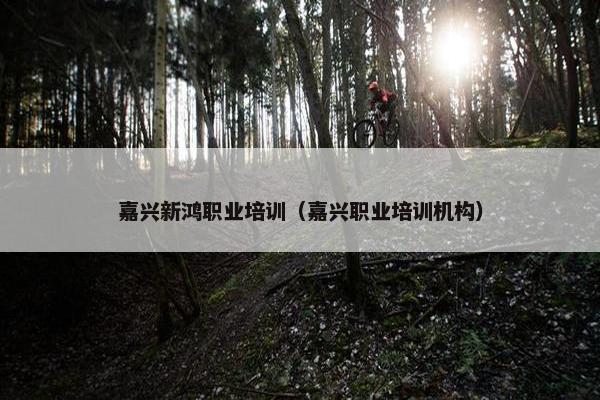 嘉兴新鸿职业培训（嘉兴职业培训机构）
