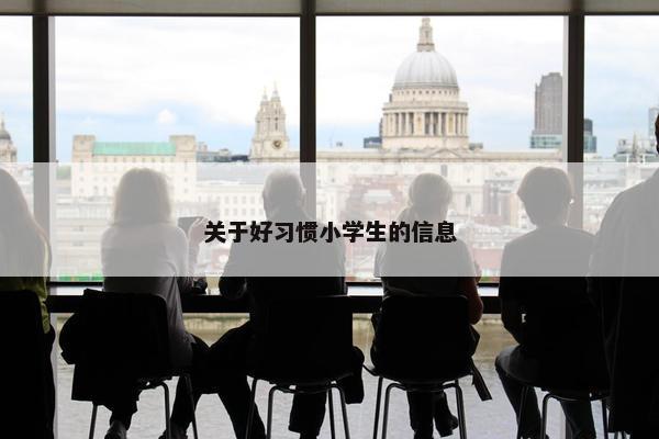 关于好习惯小学生的信息