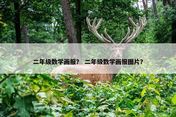 二年级数学画报？ 二年级数学画报图片？