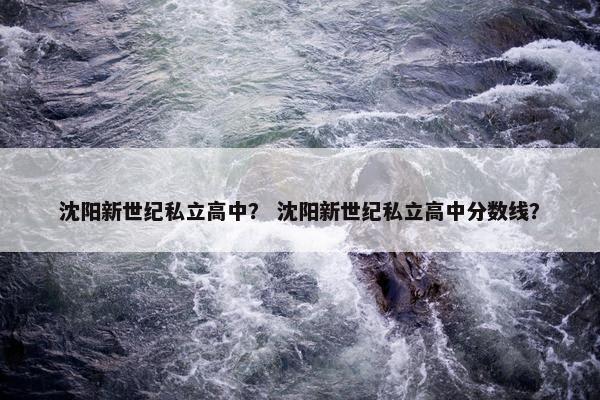 沈阳新世纪私立高中？ 沈阳新世纪私立高中分数线？