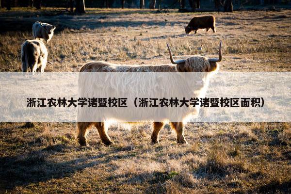 浙江农林大学诸暨校区（浙江农林大学诸暨校区面积）