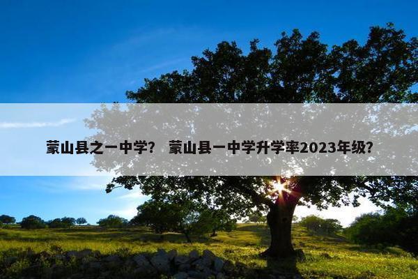 蒙山县之一中学？ 蒙山县一中学升学率2023年级？