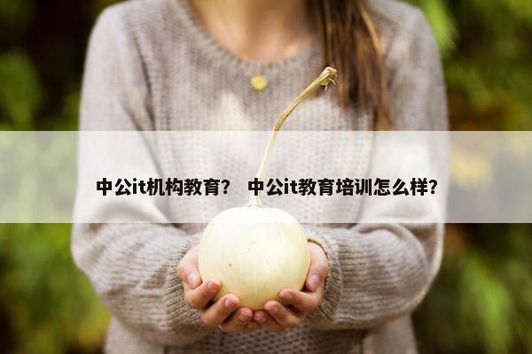 中公it机构教育？ 中公it教育培训怎么样？