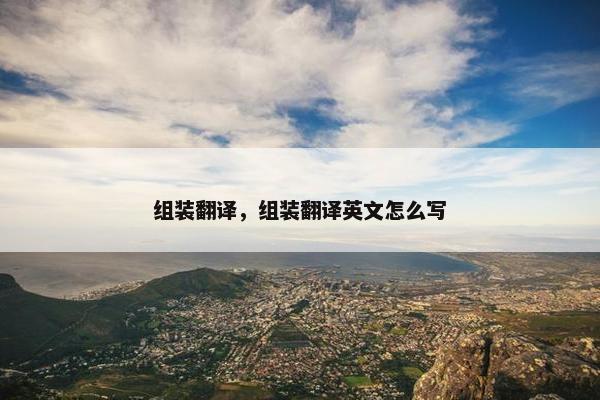组装翻译，组装翻译英文怎么写
