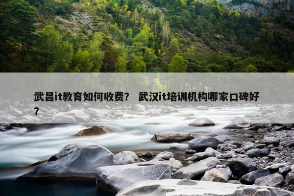 武昌it教育如何收费？ 武汉it培训机构哪家口碑好？
