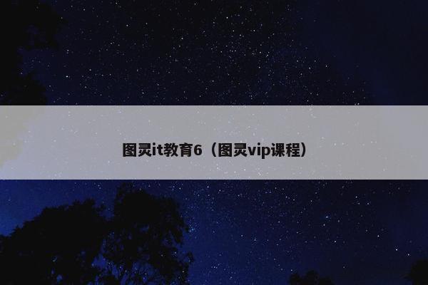 图灵it教育6（图灵vip课程）