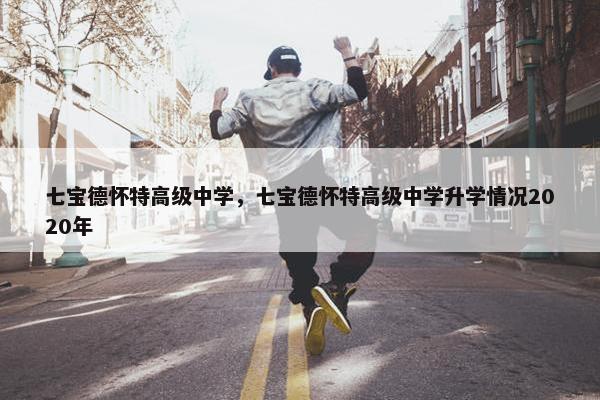 七宝德怀特高级中学，七宝德怀特高级中学升学情况2020年