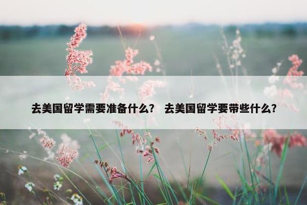 去美国留学需要准备什么？ 去美国留学要带些什么？