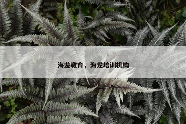 海龙教育，海龙培训机构