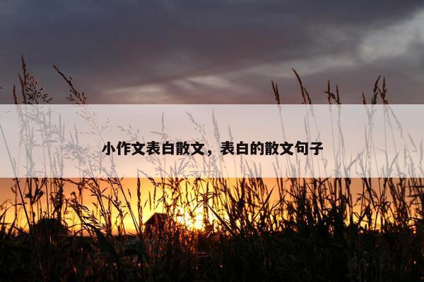 小作文表白散文，表白的散文句子