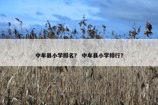 中牟县小学排名？ 中牟县小学排行？