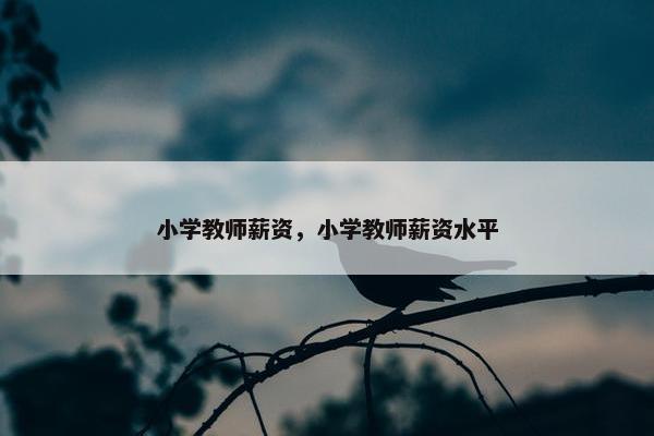 小学教师薪资，小学教师薪资水平