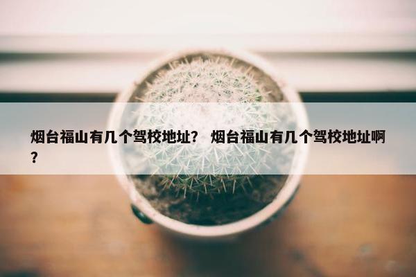 烟台福山有几个驾校地址？ 烟台福山有几个驾校地址啊？