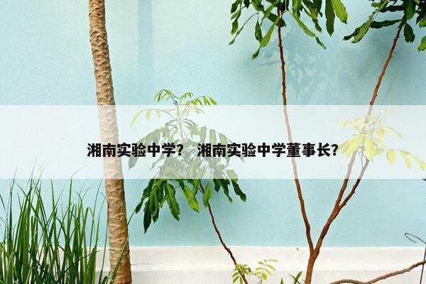 湘南实验中学？ 湘南实验中学董事长？