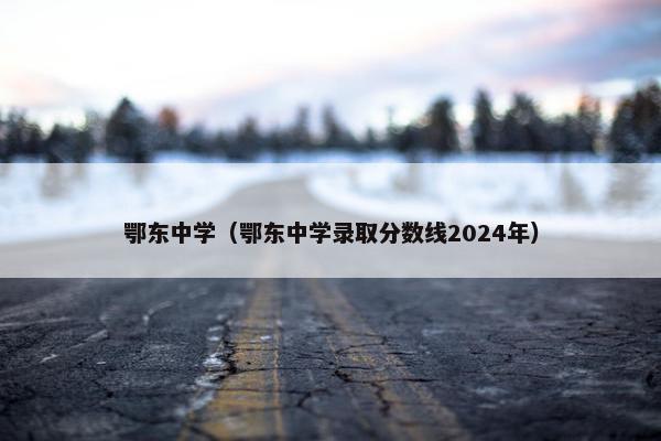 鄂东中学（鄂东中学录取分数线2024年）