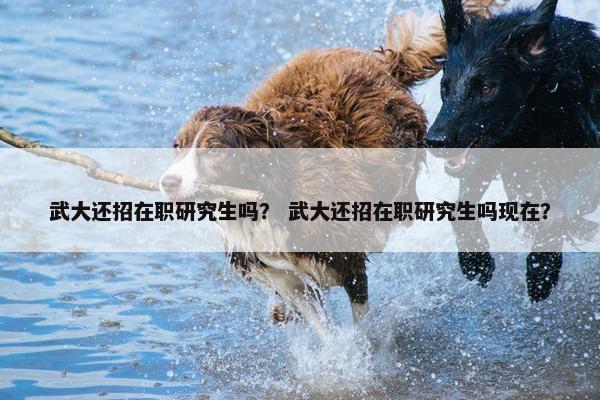 武大还招在职研究生吗？ 武大还招在职研究生吗现在？
