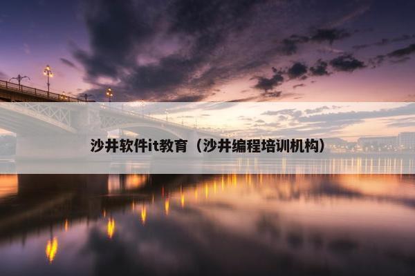沙井软件it教育（沙井编程培训机构）