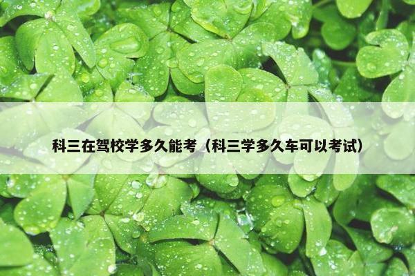 科三在驾校学多久能考（科三学多久车可以考试）