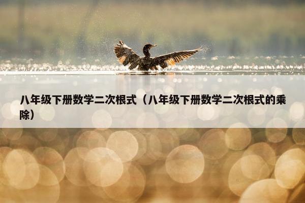 八年级下册数学二次根式（八年级下册数学二次根式的乘除）