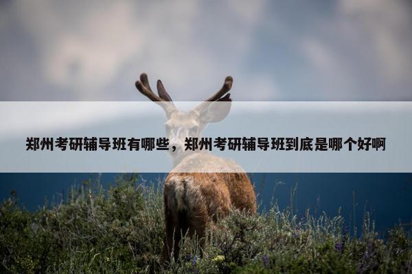 郑州考研辅导班有哪些，郑州考研辅导班到底是哪个好啊