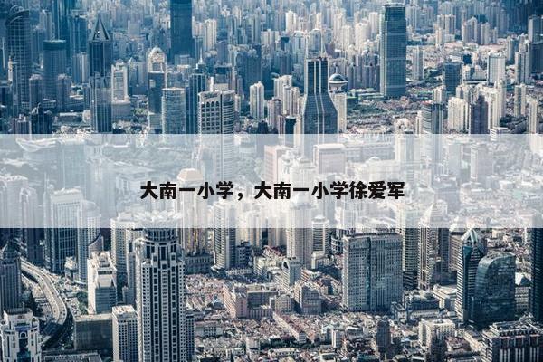 大南一小学，大南一小学徐爱军