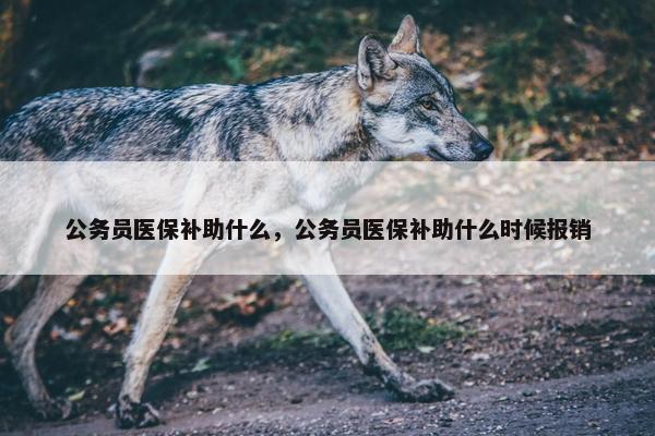 公务员医保补助什么，公务员医保补助什么时候报销
