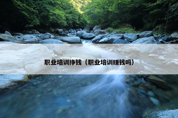 职业培训挣钱（职业培训赚钱吗）