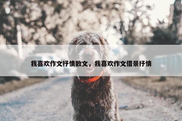 我喜欢作文抒情散文，我喜欢作文借景抒情