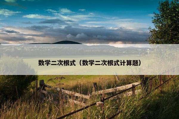 数学二次根式（数学二次根式计算题）