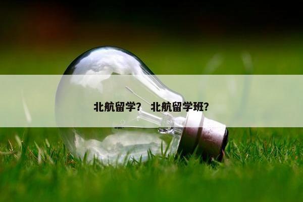 北航留学？ 北航留学班？