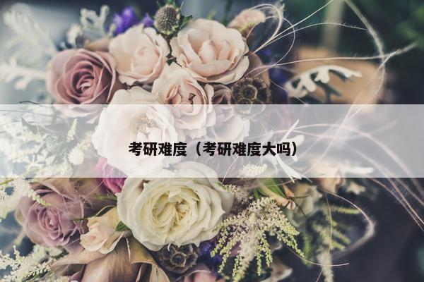 考研难度（考研难度大吗）