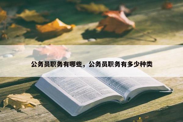 公务员职务有哪些，公务员职务有多少种类