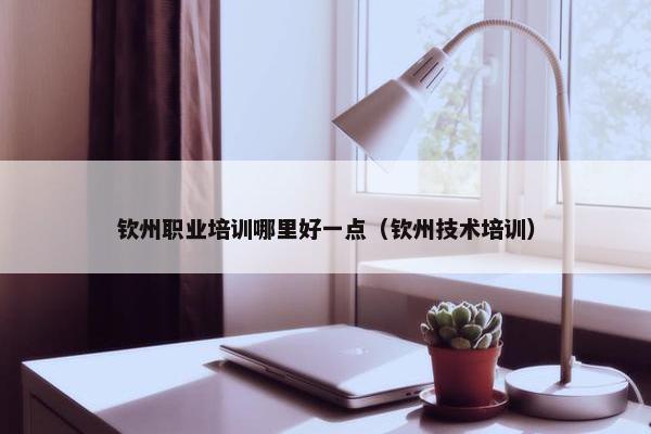 钦州职业培训哪里好一点（钦州技术培训）