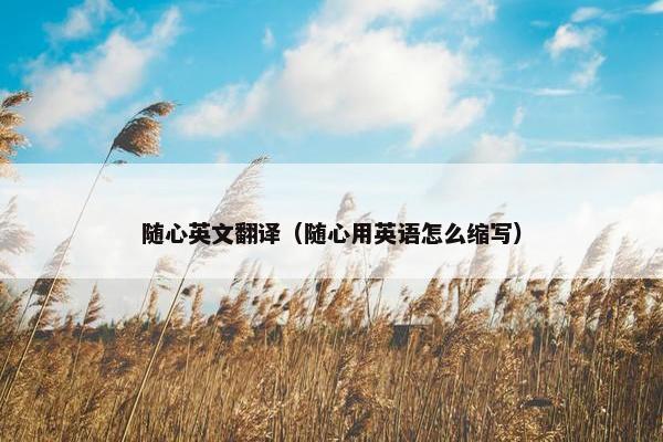 随心英文翻译（随心用英语怎么缩写）
