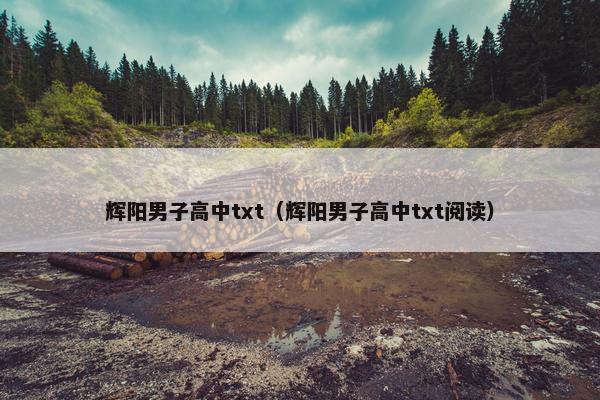 辉阳男子高中txt（辉阳男子高中txt阅读）