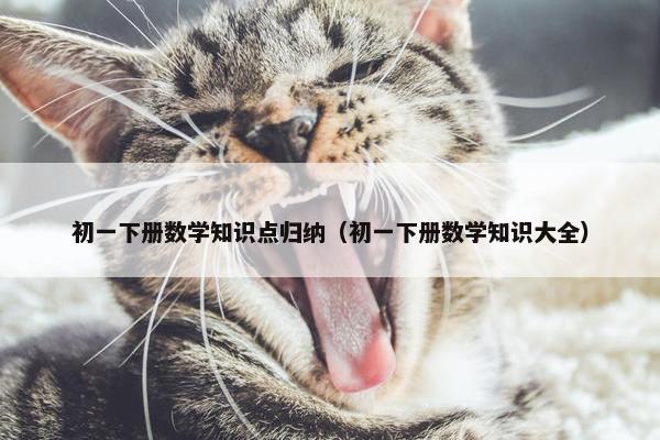 初一下册数学知识点归纳（初一下册数学知识大全）