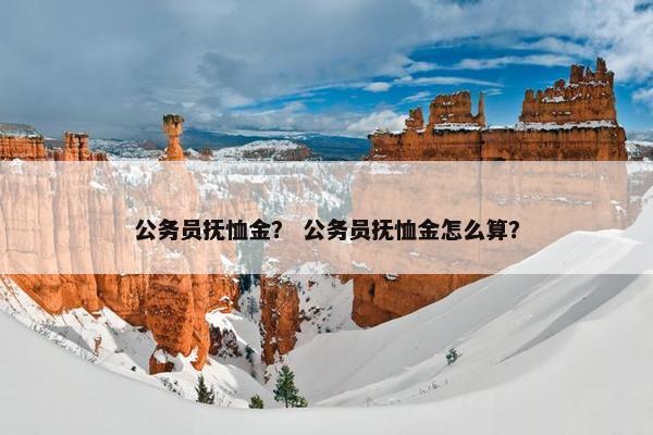 公务员抚恤金？ 公务员抚恤金怎么算？