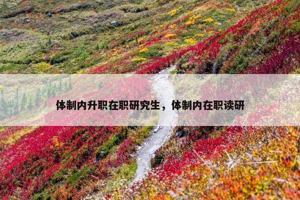 体制内升职在职研究生，体制内在职读研