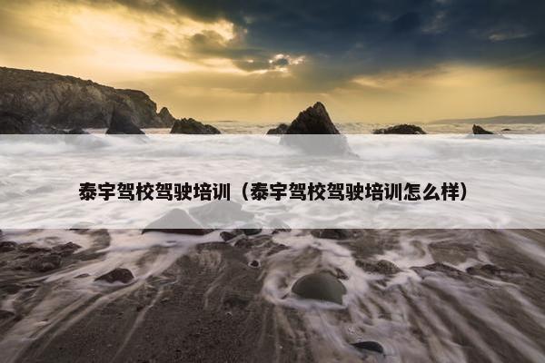 泰宇驾校驾驶培训（泰宇驾校驾驶培训怎么样）