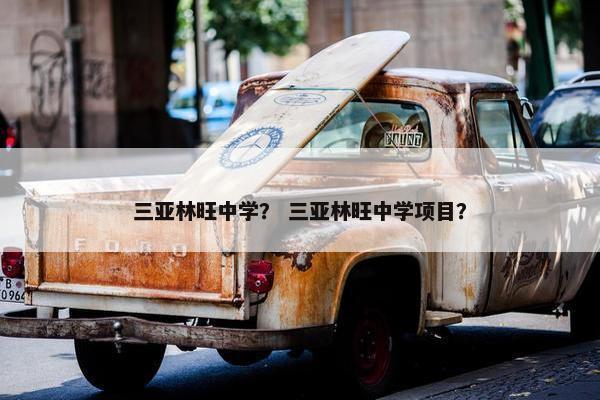 三亚林旺中学？ 三亚林旺中学项目？