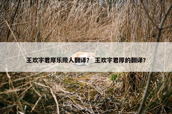 王欢字君厚乐陵人翻译？ 王欢字君厚的翻译？
