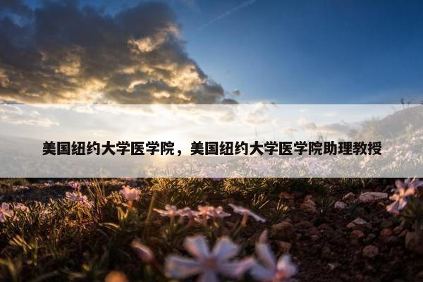 美国纽约大学医学院，美国纽约大学医学院助理教授