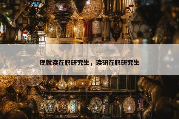 现就读在职研究生，读研在职研究生