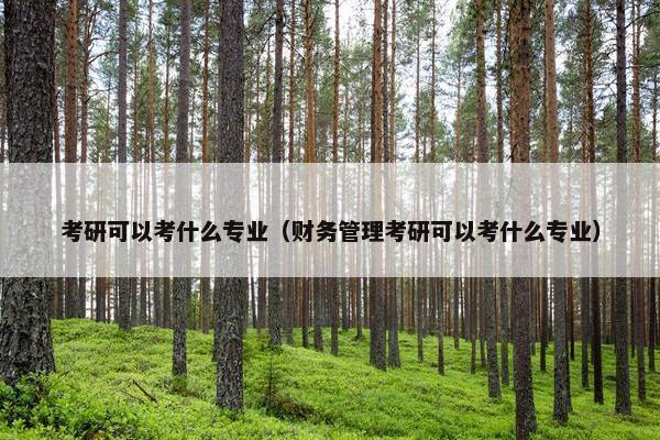考研可以考什么专业（财务管理考研可以考什么专业）