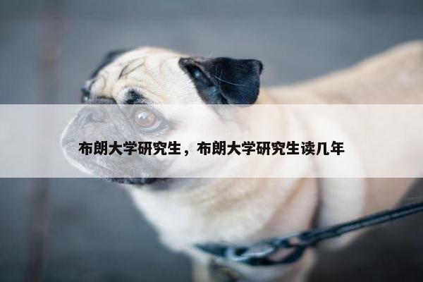 布朗大学研究生，布朗大学研究生读几年