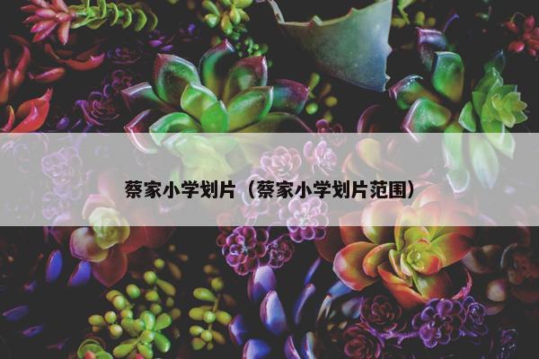 蔡家小学划片（蔡家小学划片范围）