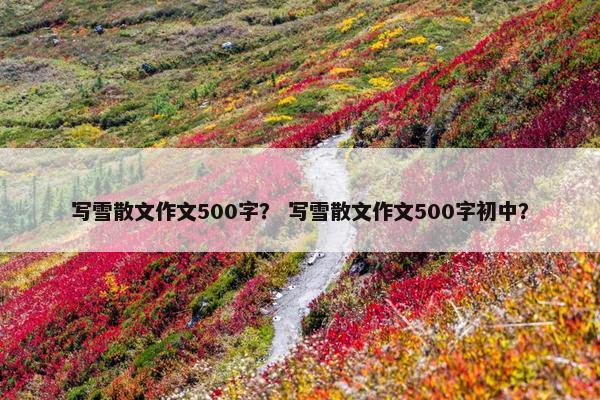 写雪散文作文500字？ 写雪散文作文500字初中？